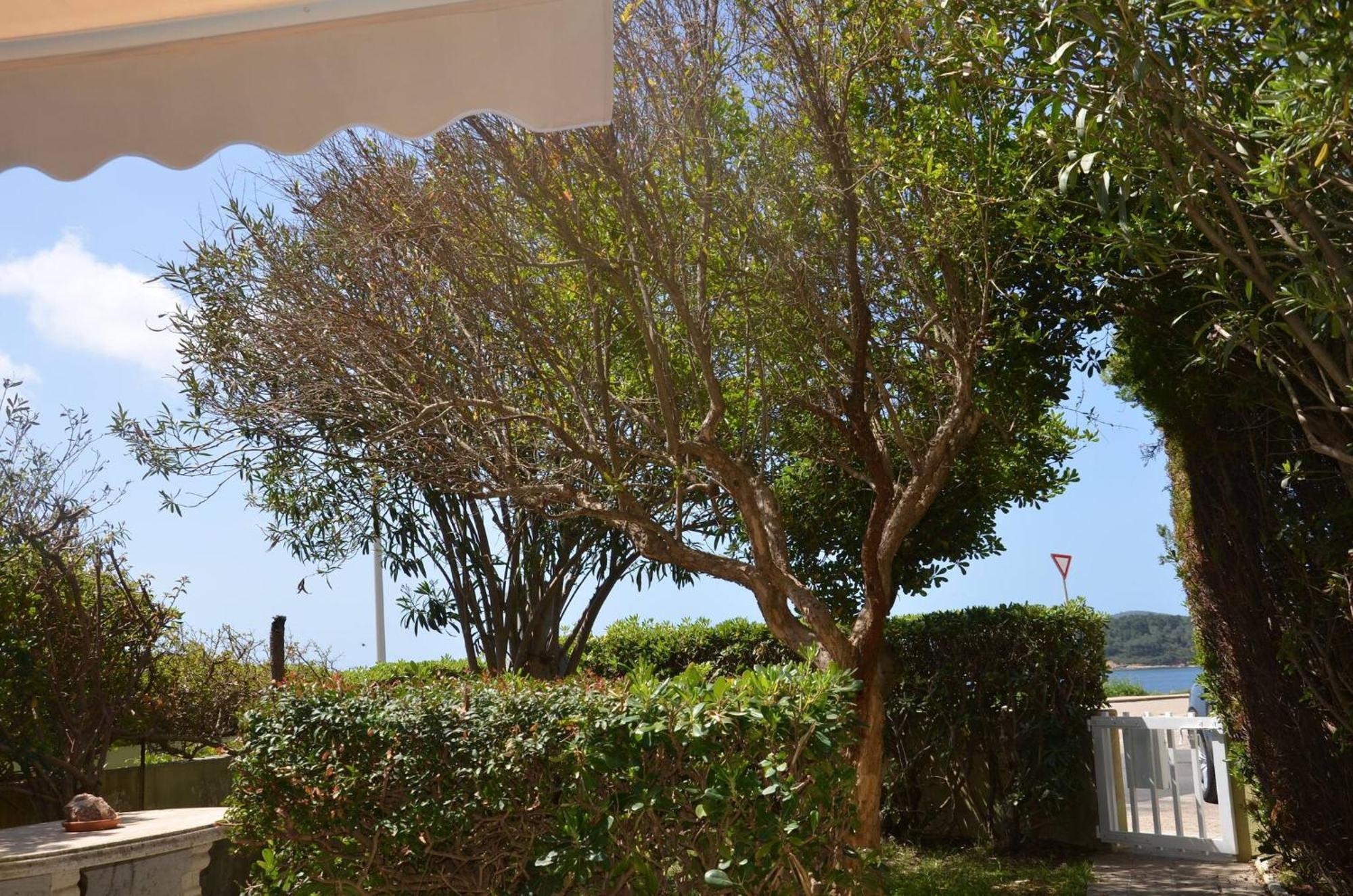 Fantastic Sardinia Villette Con Giardino Fronte Mare Fertilia Faho-Gav01-Gav02 Luaran gambar