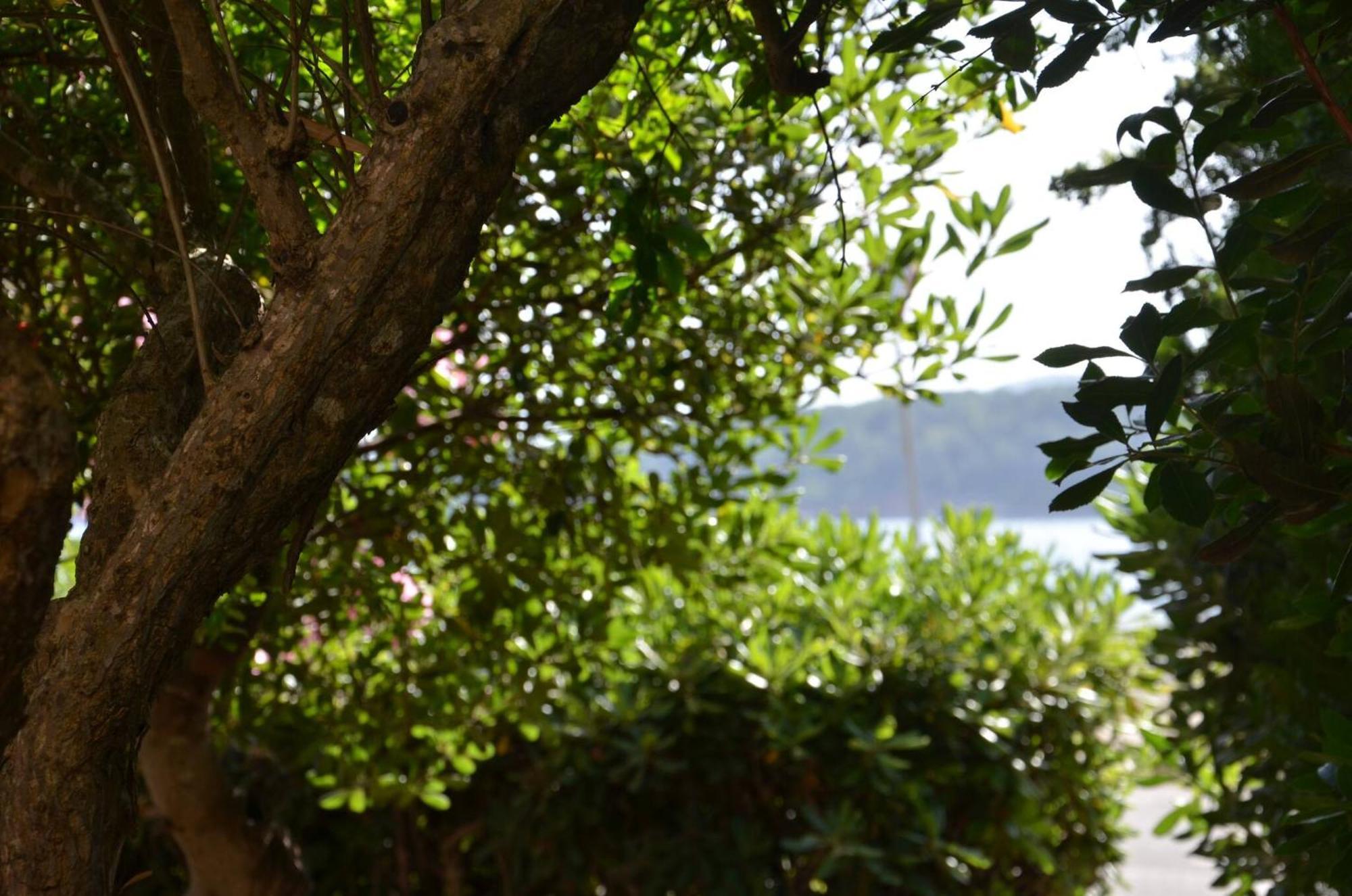 Fantastic Sardinia Villette Con Giardino Fronte Mare Fertilia Faho-Gav01-Gav02 Luaran gambar
