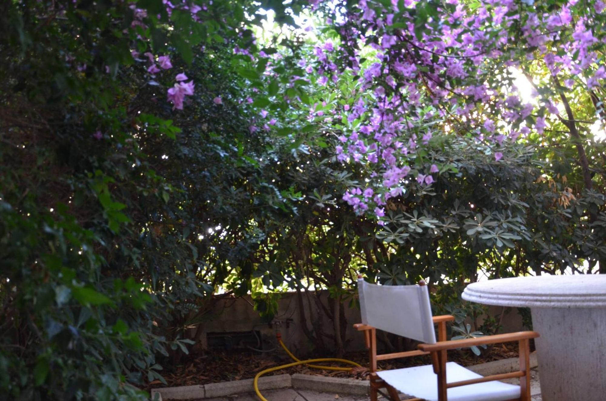 Fantastic Sardinia Villette Con Giardino Fronte Mare Fertilia Faho-Gav01-Gav02 Luaran gambar