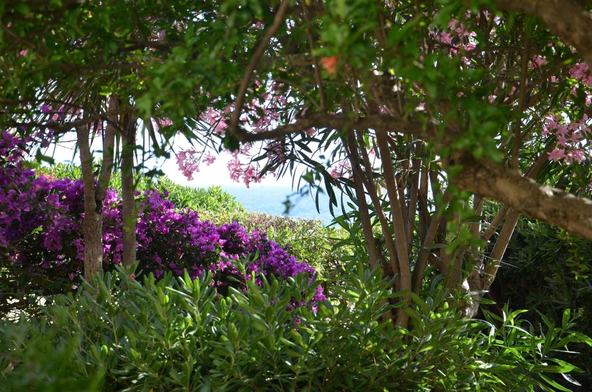 Fantastic Sardinia Villette Con Giardino Fronte Mare Fertilia Faho-Gav01-Gav02 Luaran gambar