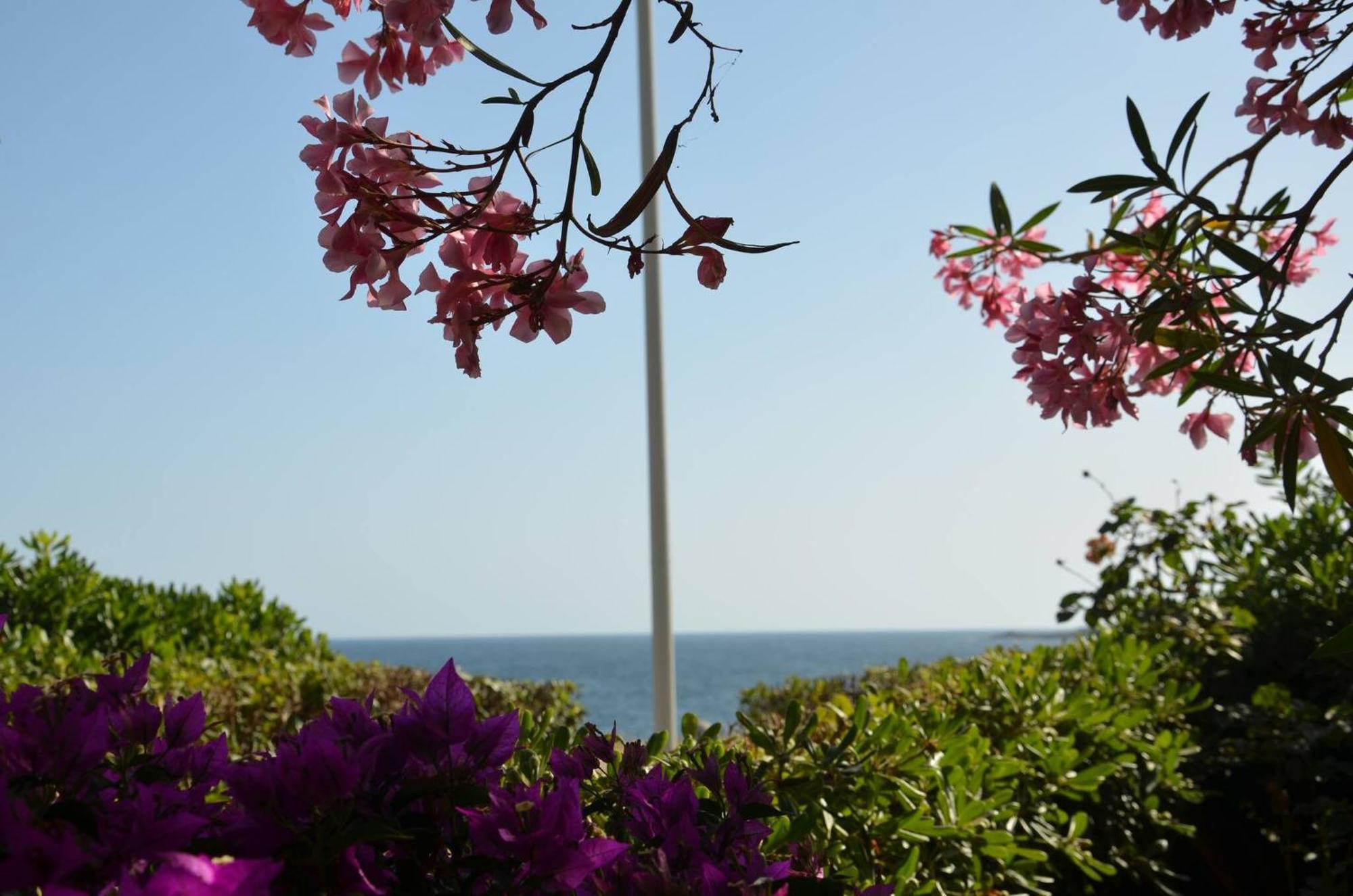 Fantastic Sardinia Villette Con Giardino Fronte Mare Fertilia Faho-Gav01-Gav02 Luaran gambar