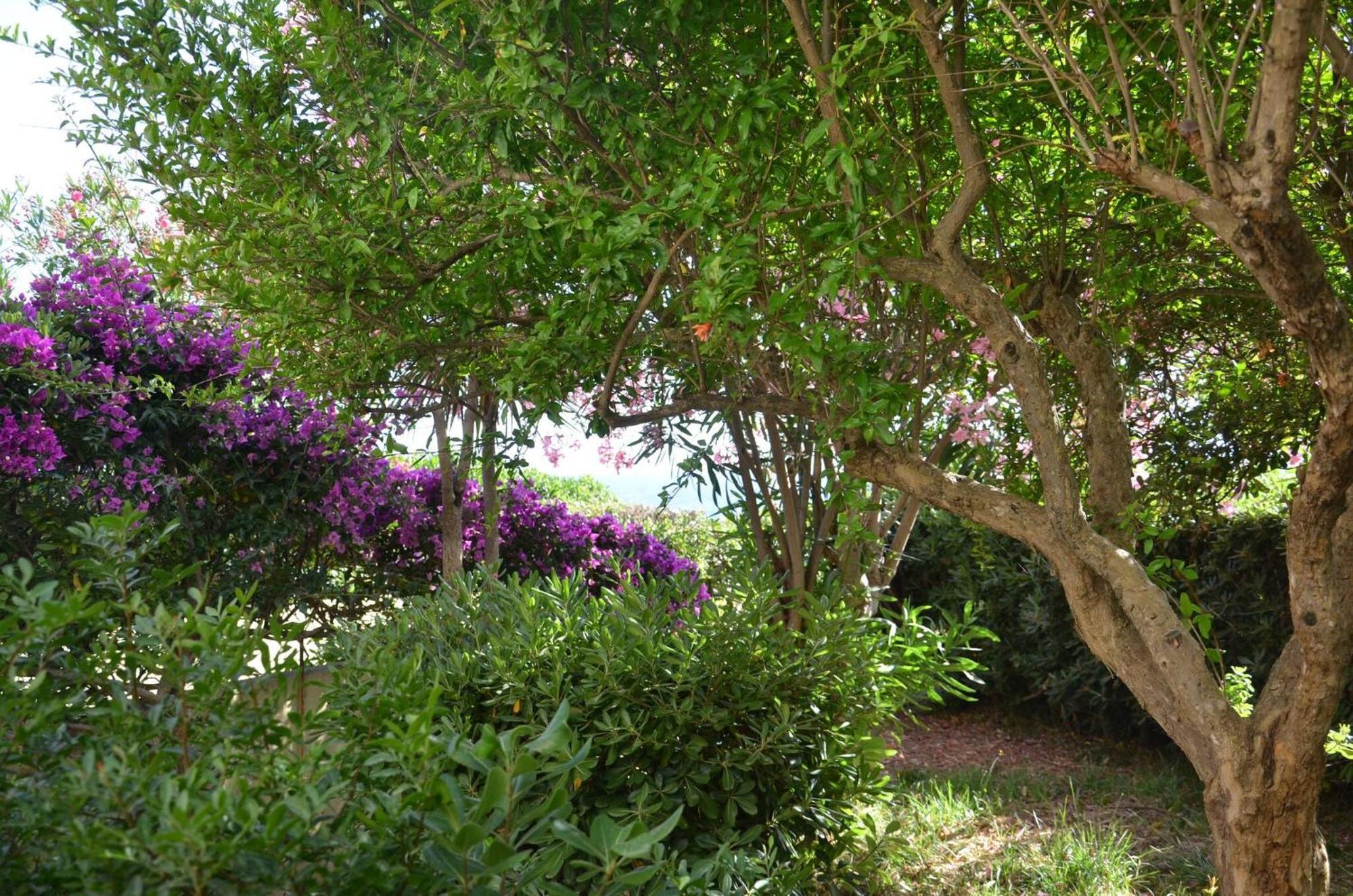 Fantastic Sardinia Villette Con Giardino Fronte Mare Fertilia Faho-Gav01-Gav02 Luaran gambar
