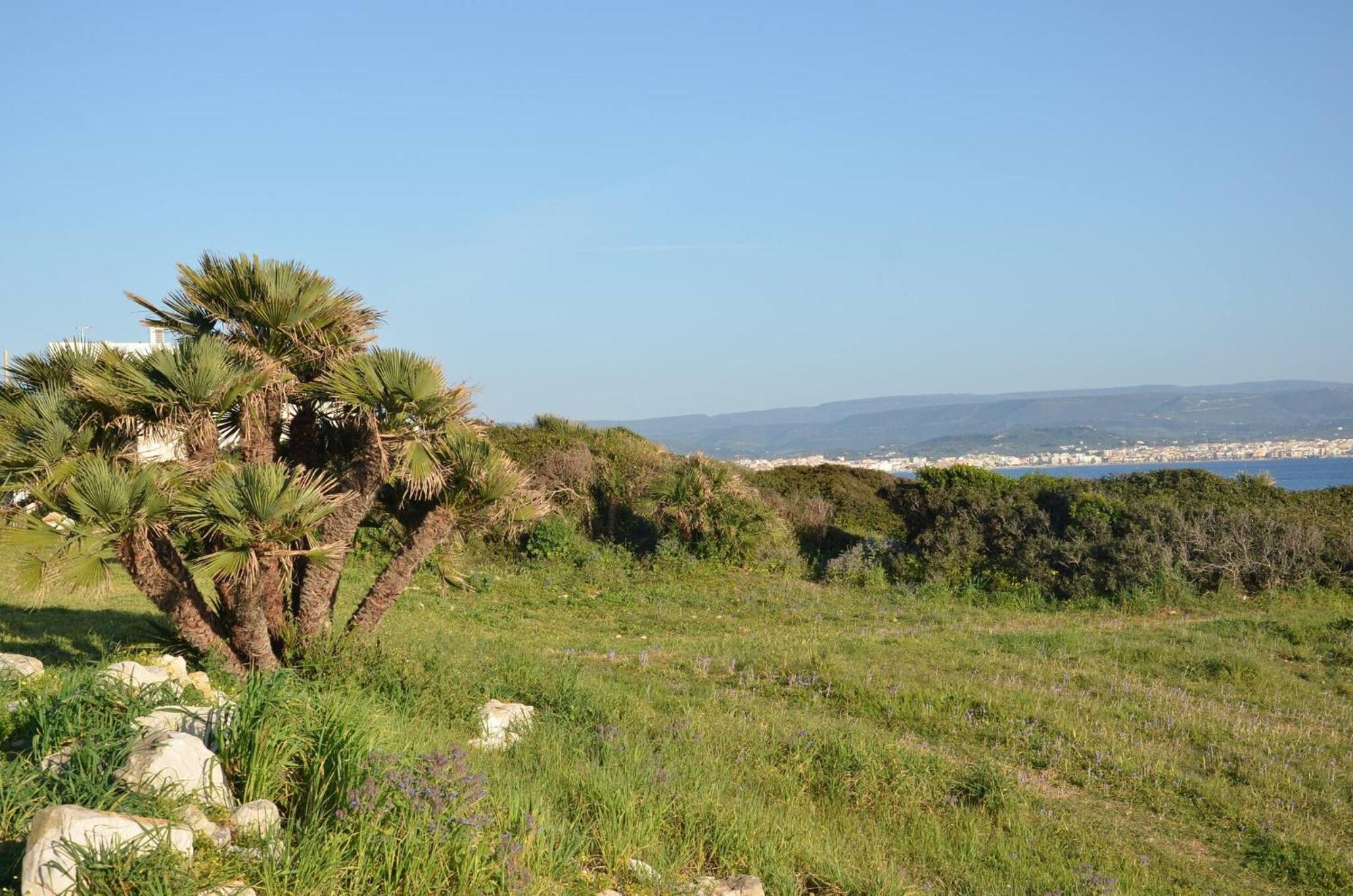 Fantastic Sardinia Villette Con Giardino Fronte Mare Fertilia Faho-Gav01-Gav02 Luaran gambar