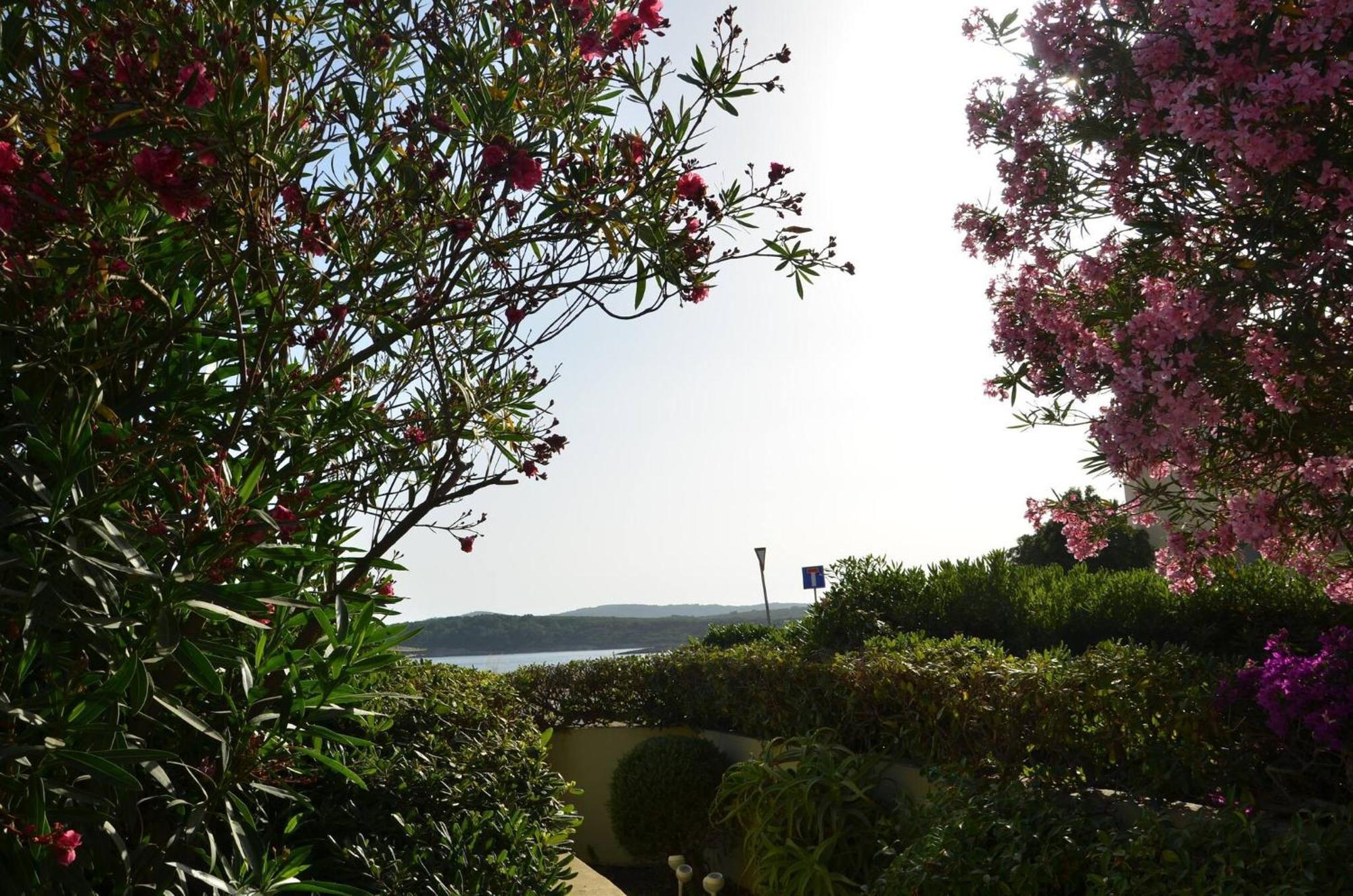 Fantastic Sardinia Villette Con Giardino Fronte Mare Fertilia Faho-Gav01-Gav02 Luaran gambar