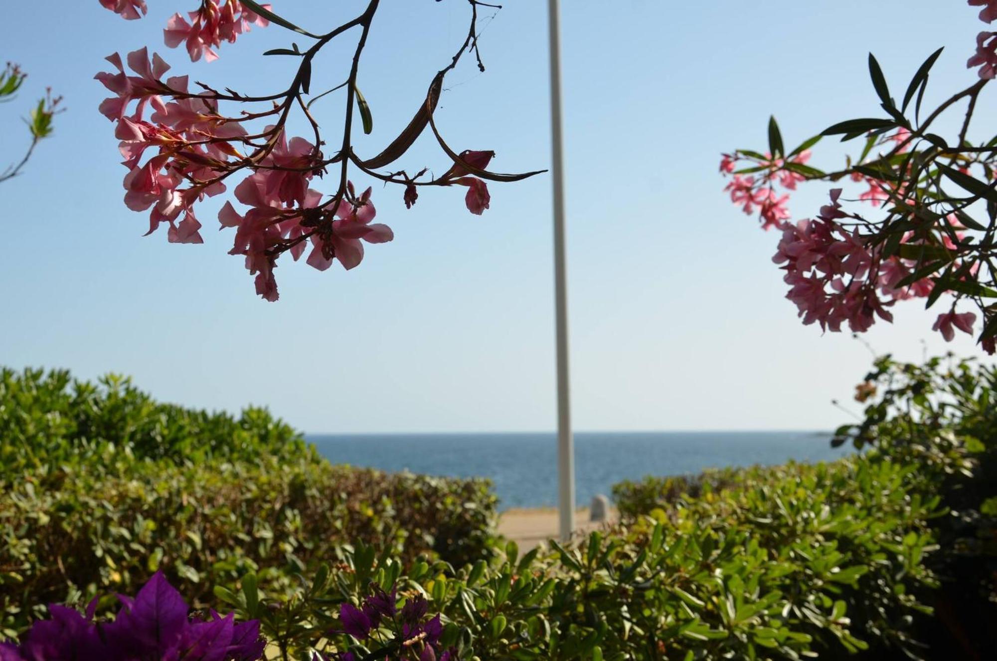 Fantastic Sardinia Villette Con Giardino Fronte Mare Fertilia Faho-Gav01-Gav02 Luaran gambar