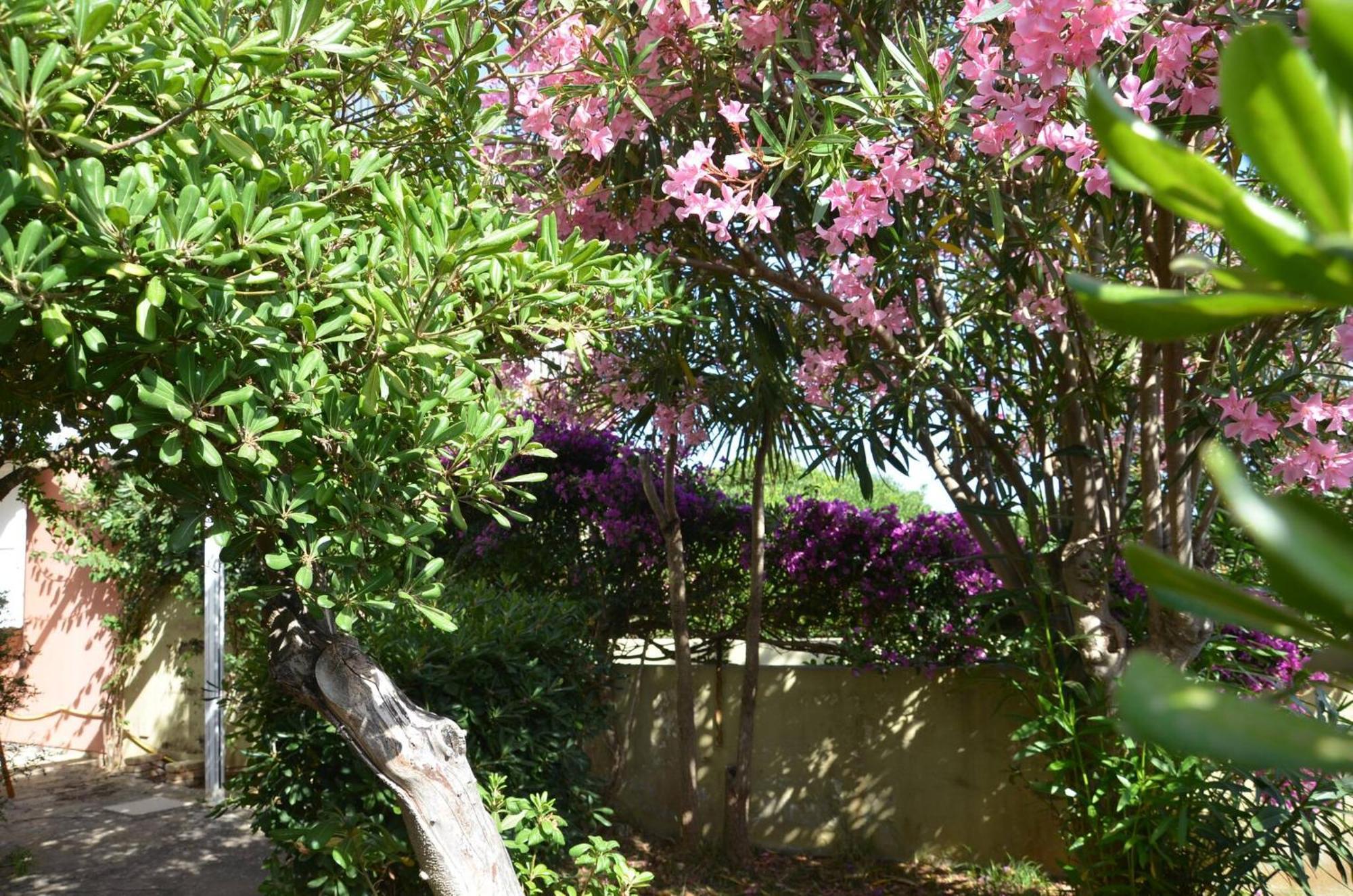 Fantastic Sardinia Villette Con Giardino Fronte Mare Fertilia Faho-Gav01-Gav02 Luaran gambar