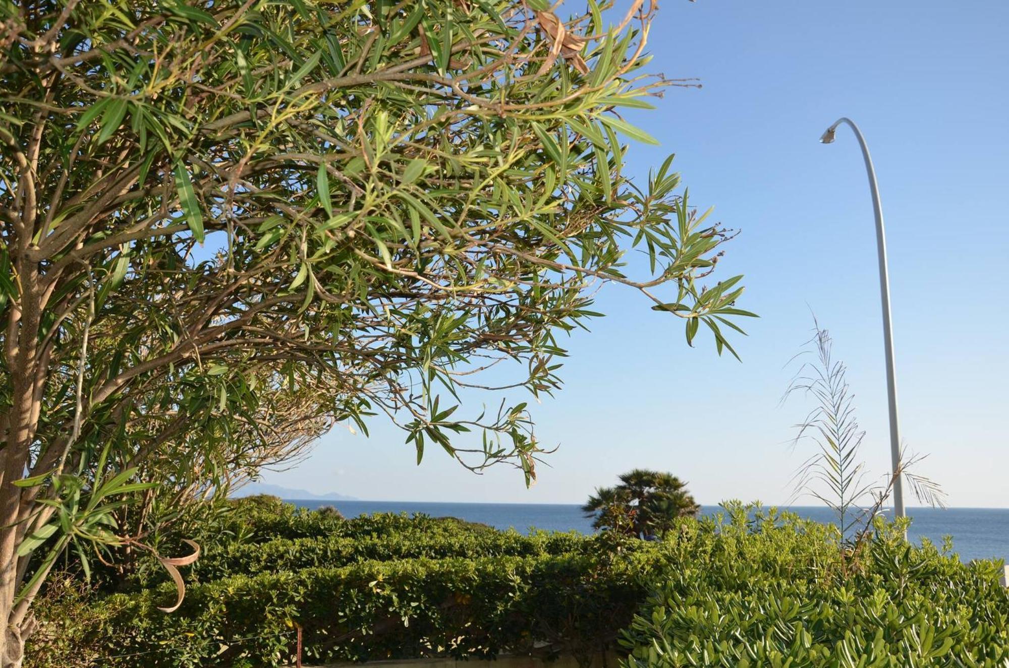 Fantastic Sardinia Villette Con Giardino Fronte Mare Fertilia Faho-Gav01-Gav02 Luaran gambar