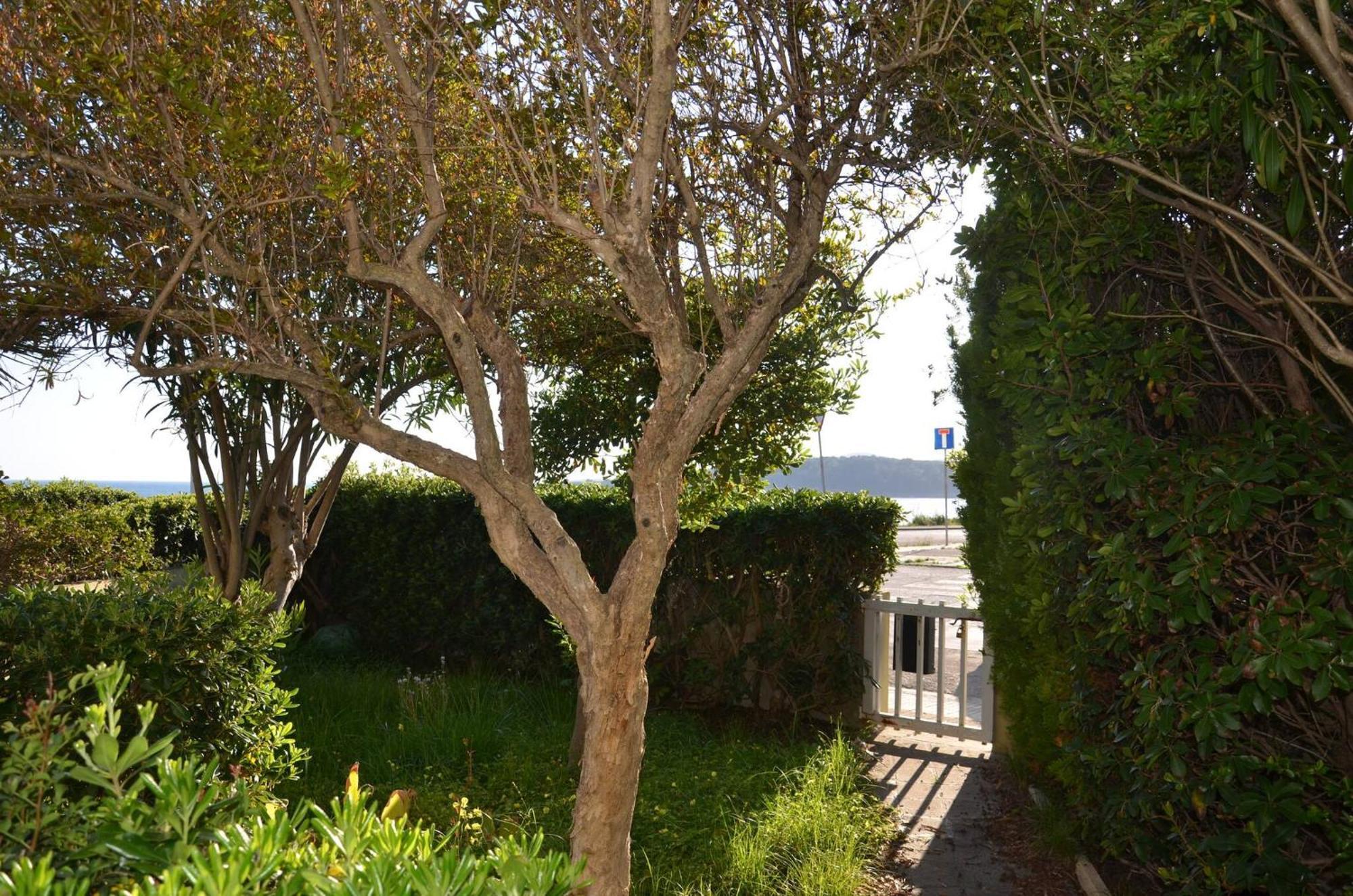 Fantastic Sardinia Villette Con Giardino Fronte Mare Fertilia Faho-Gav01-Gav02 Luaran gambar