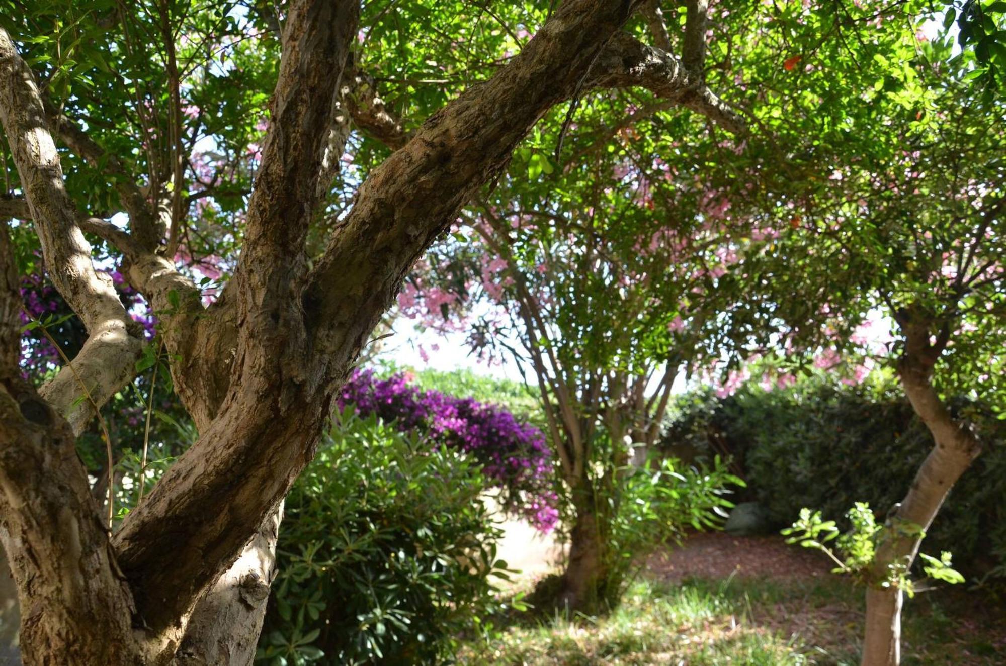 Fantastic Sardinia Villette Con Giardino Fronte Mare Fertilia Faho-Gav01-Gav02 Luaran gambar